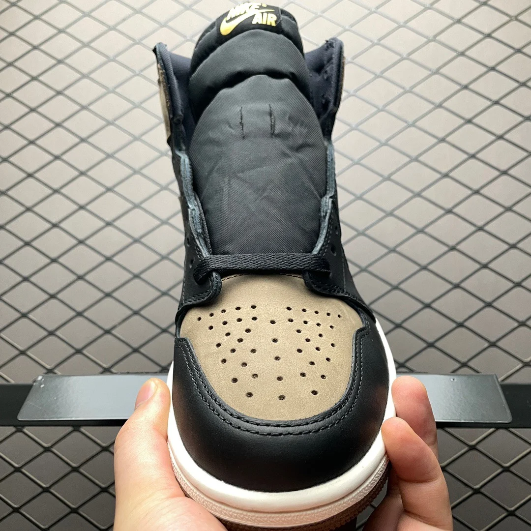 Air Jordan 1 High | Palomino | DZ5485-020