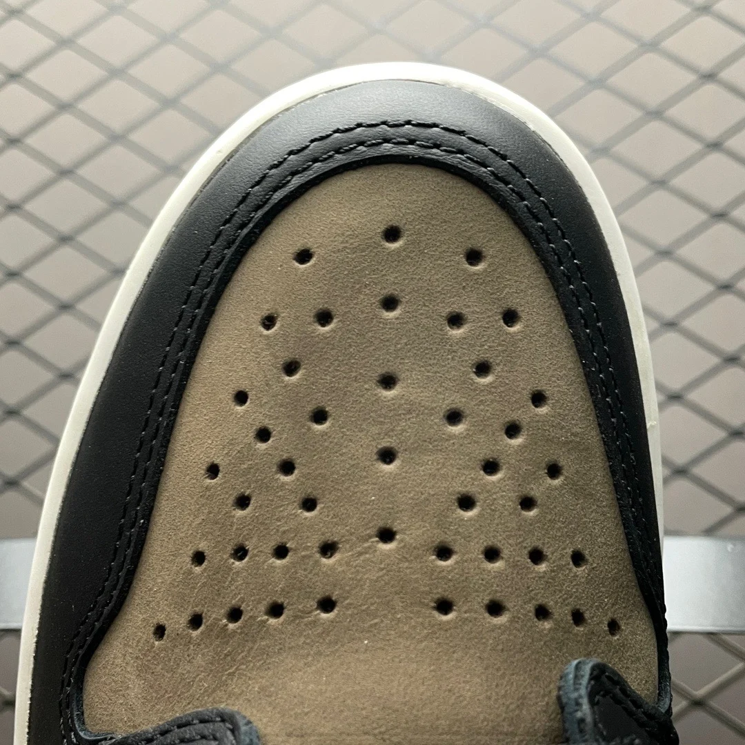 Air Jordan 1 High | Palomino | DZ5485-020