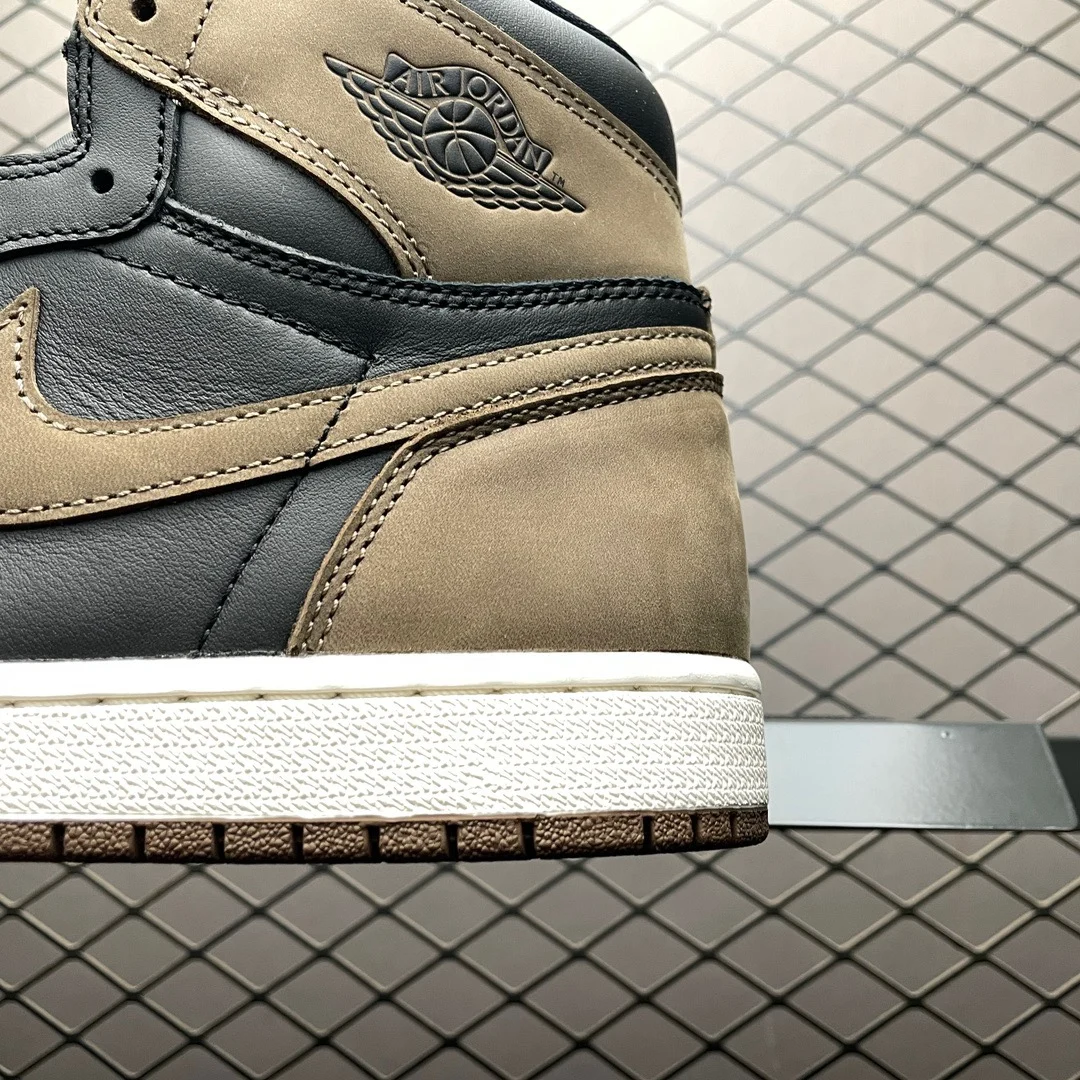 Air Jordan 1 High | Palomino | DZ5485-020