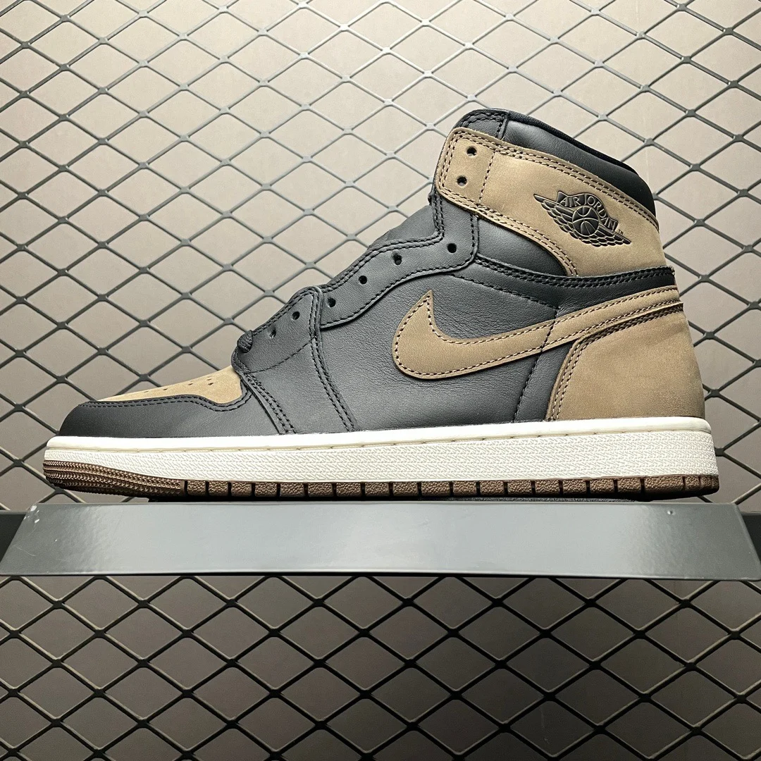 Air Jordan 1 High | Palomino | DZ5485-020