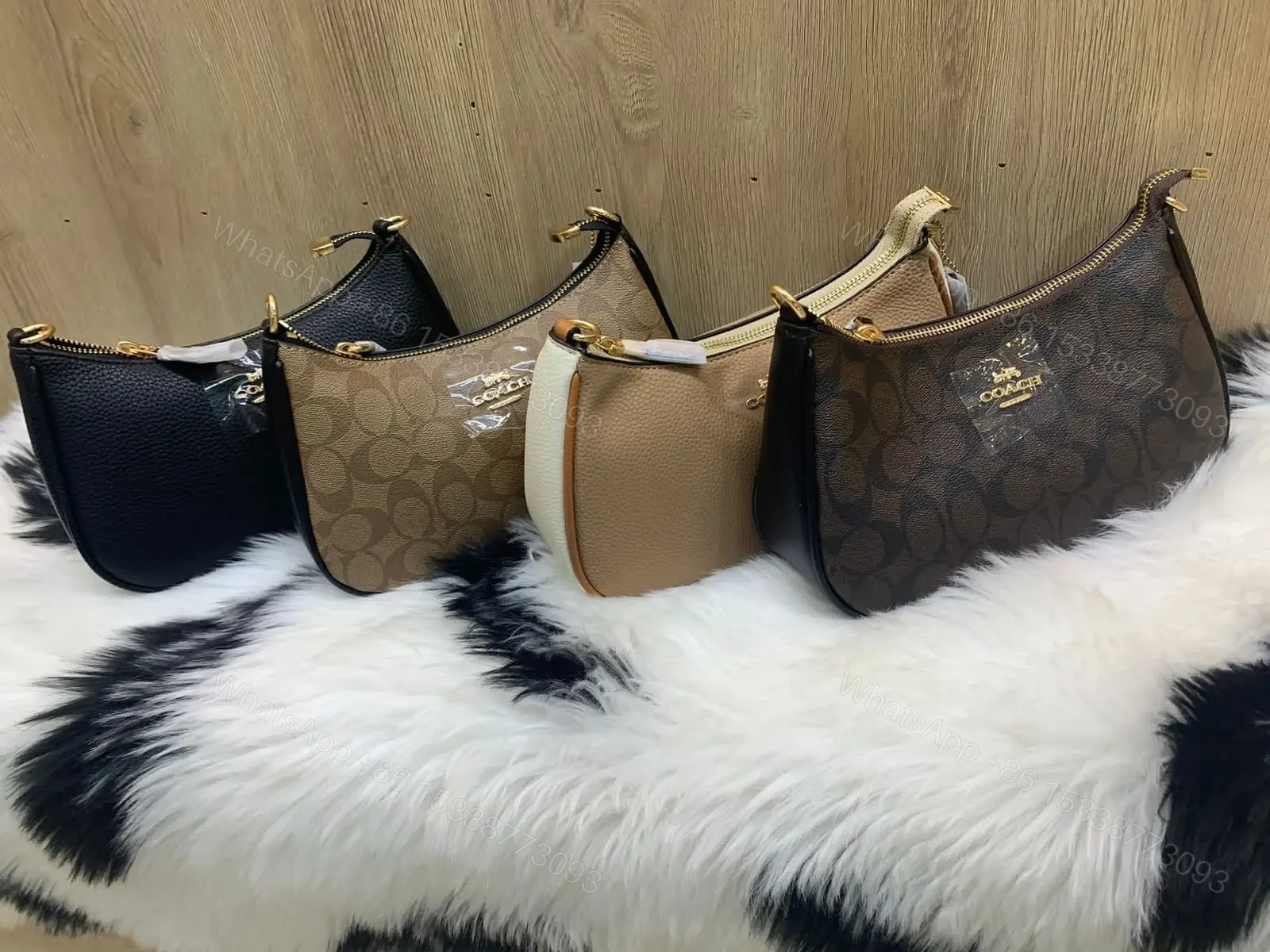 COACH — view 1