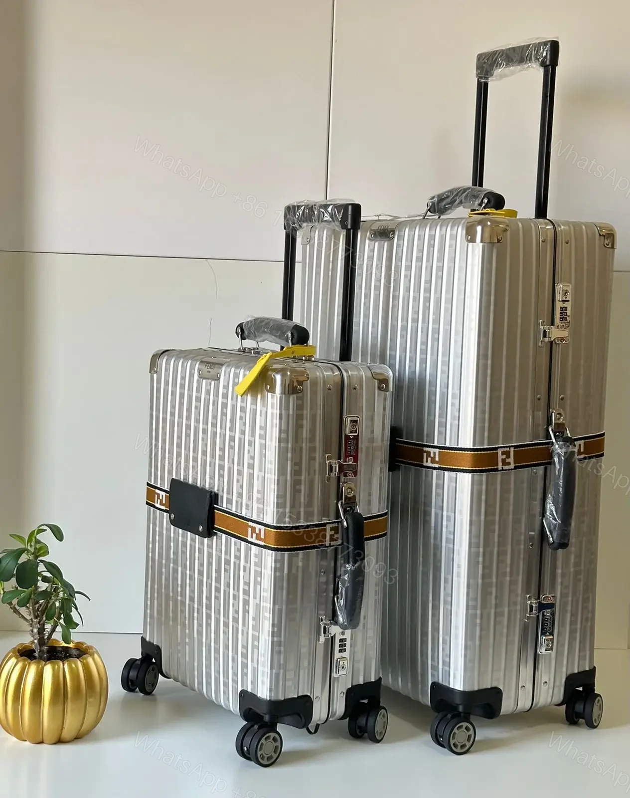 Rimova fendi — view 1