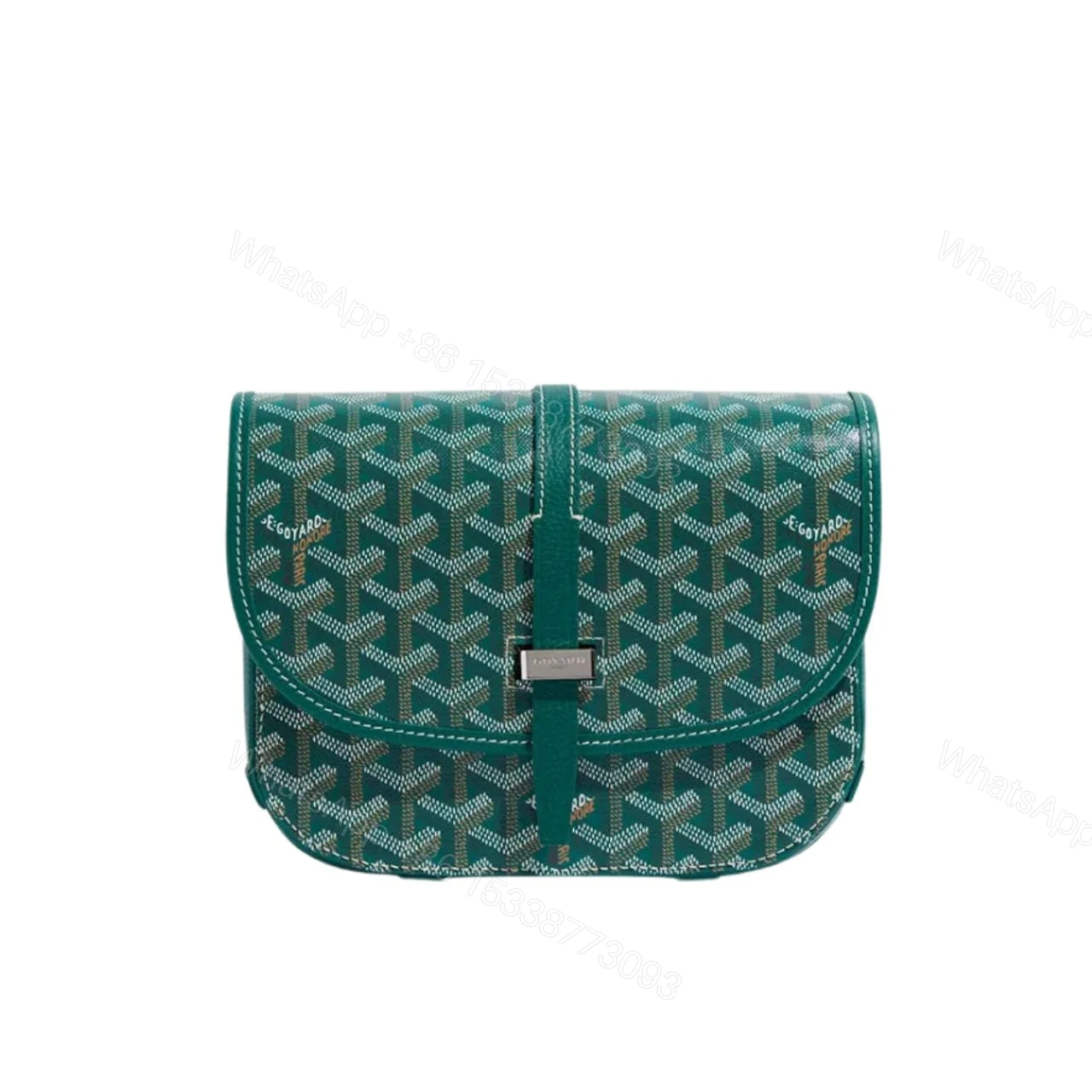GOYARD BELVEDERE PM BAG GREEN 22CM — view 1