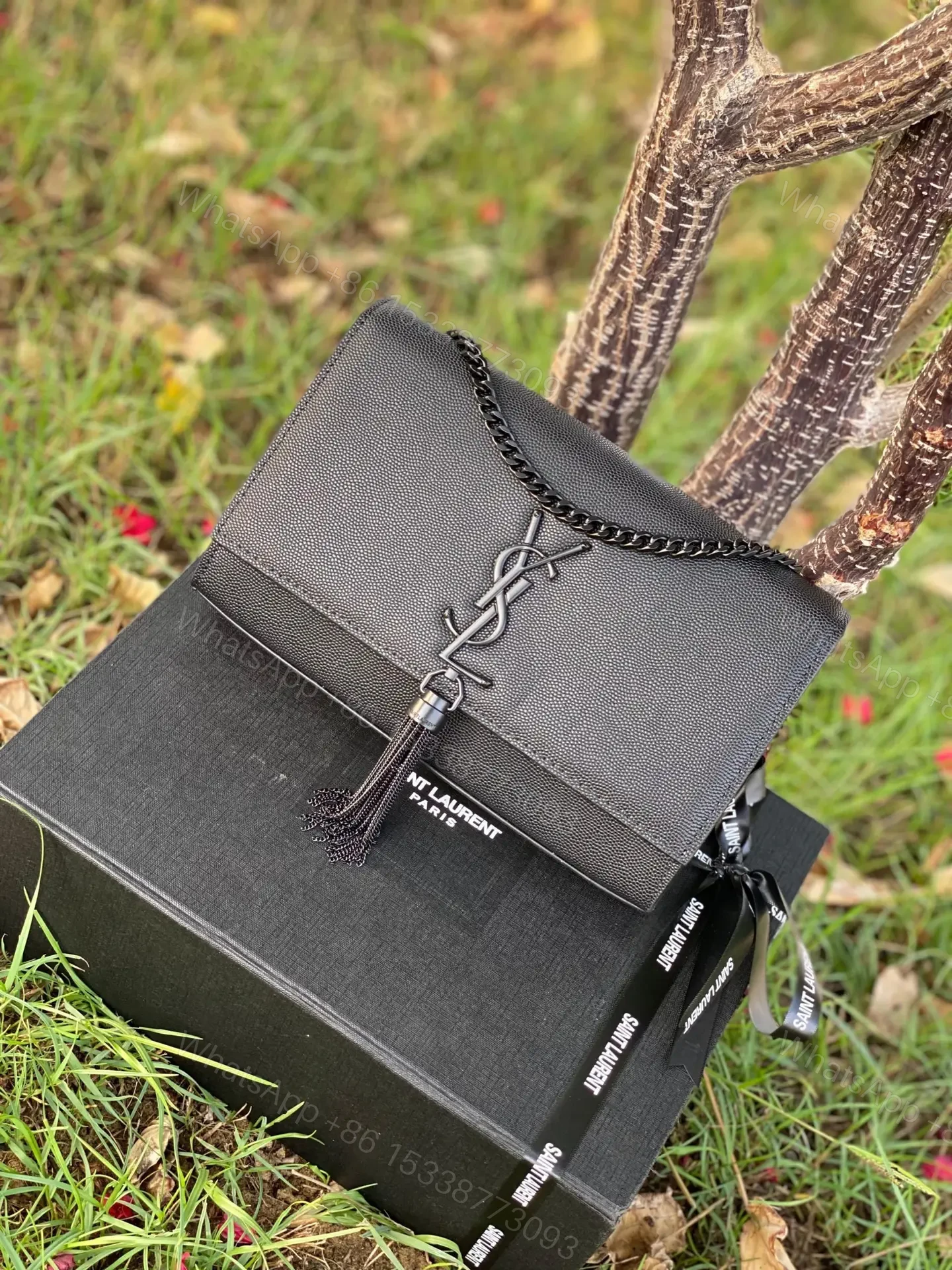 YSL — view 1