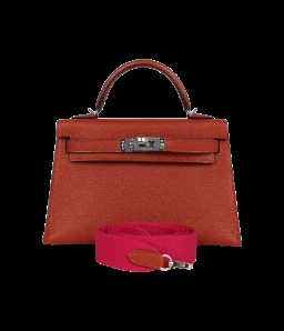 Hermès Kelly Sellier 20 Copper Goat Mysore Palladium Hardware — view 1
