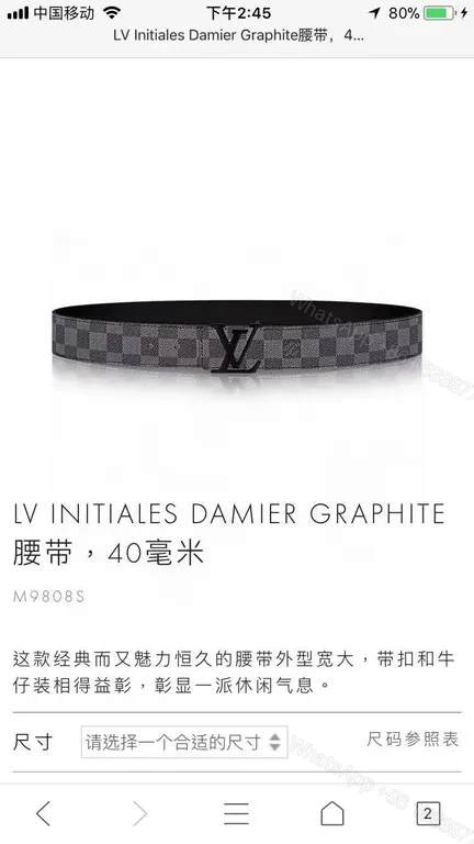 Damier Graphite Belt: Subtle Pattern, Bold Impression - LV Belt — view 1
