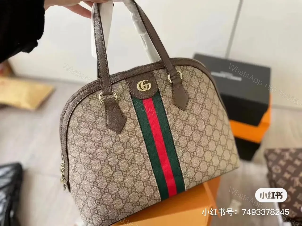 GUCCI — view 1