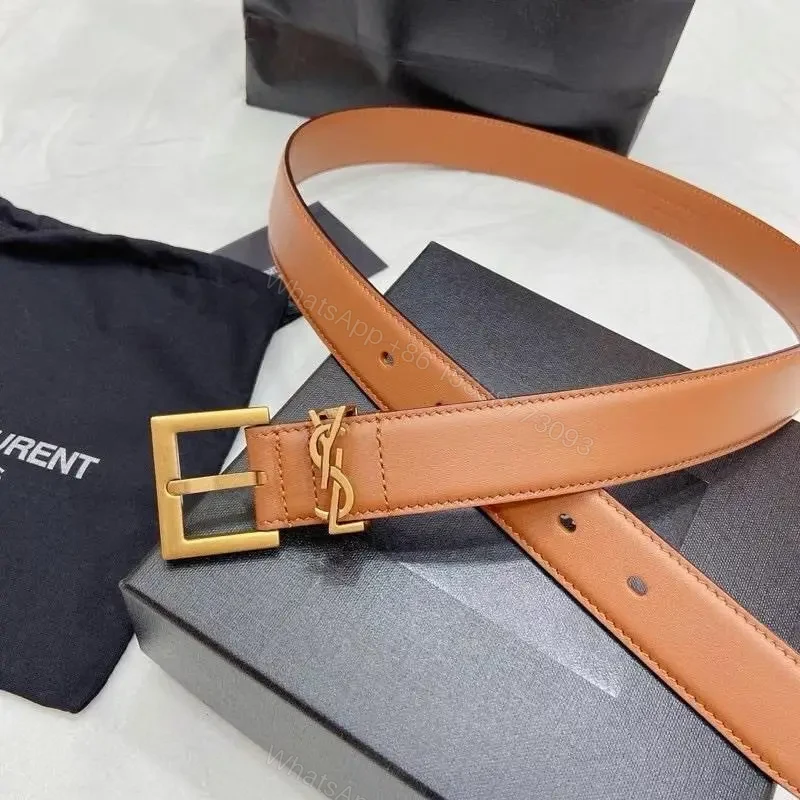 YSL — view 1