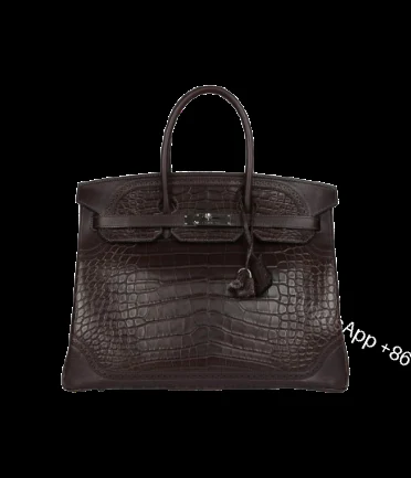 Hermès Ghillies Birkin 35 Ebene Matte Alligator and Swift Palladium Hardware — view 1