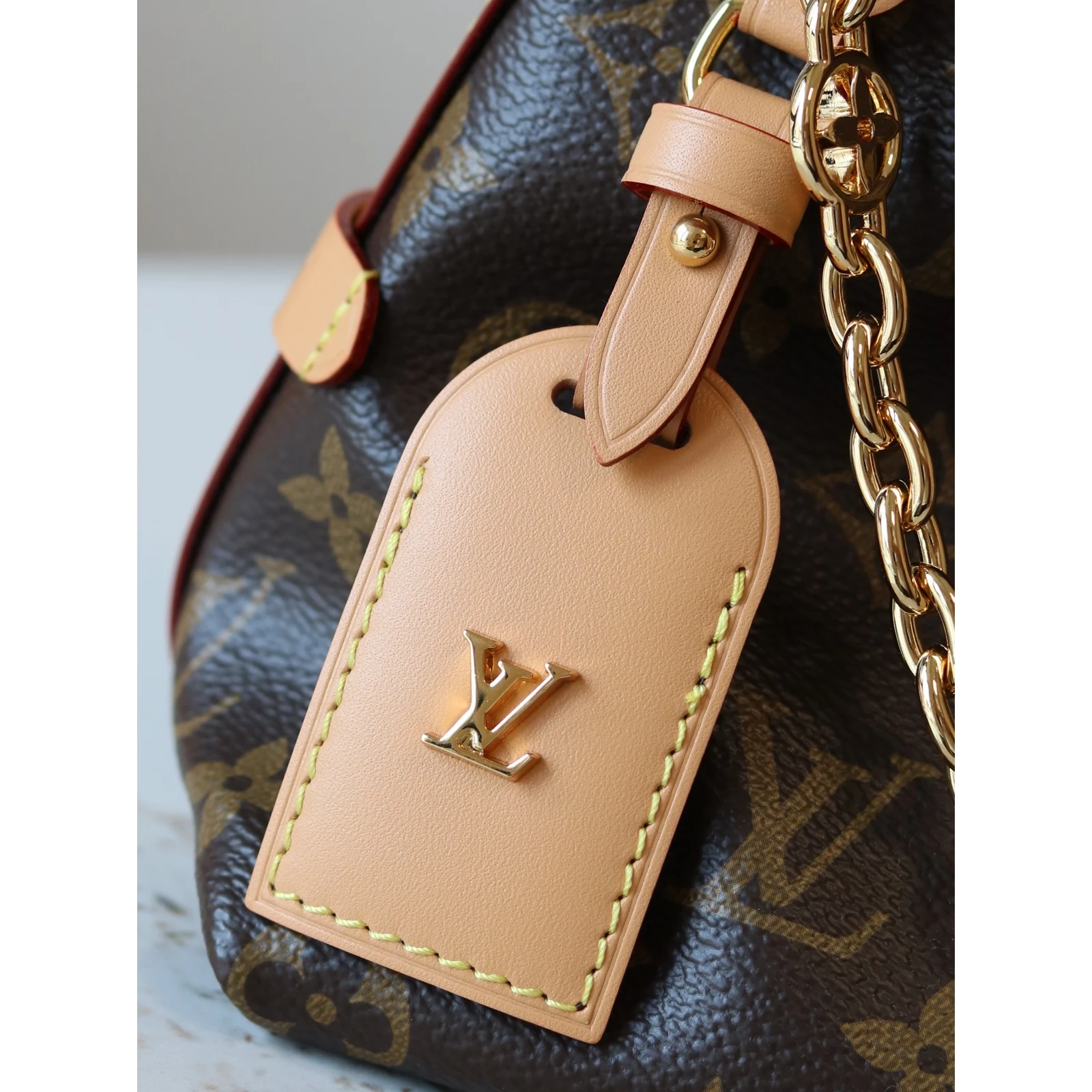 Louis Vuitton CarryAll BB Monogram Monogram · M13014