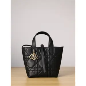 Small Dior Toujours Vertical Tote Bag black; full source photo centered on a white square canvas