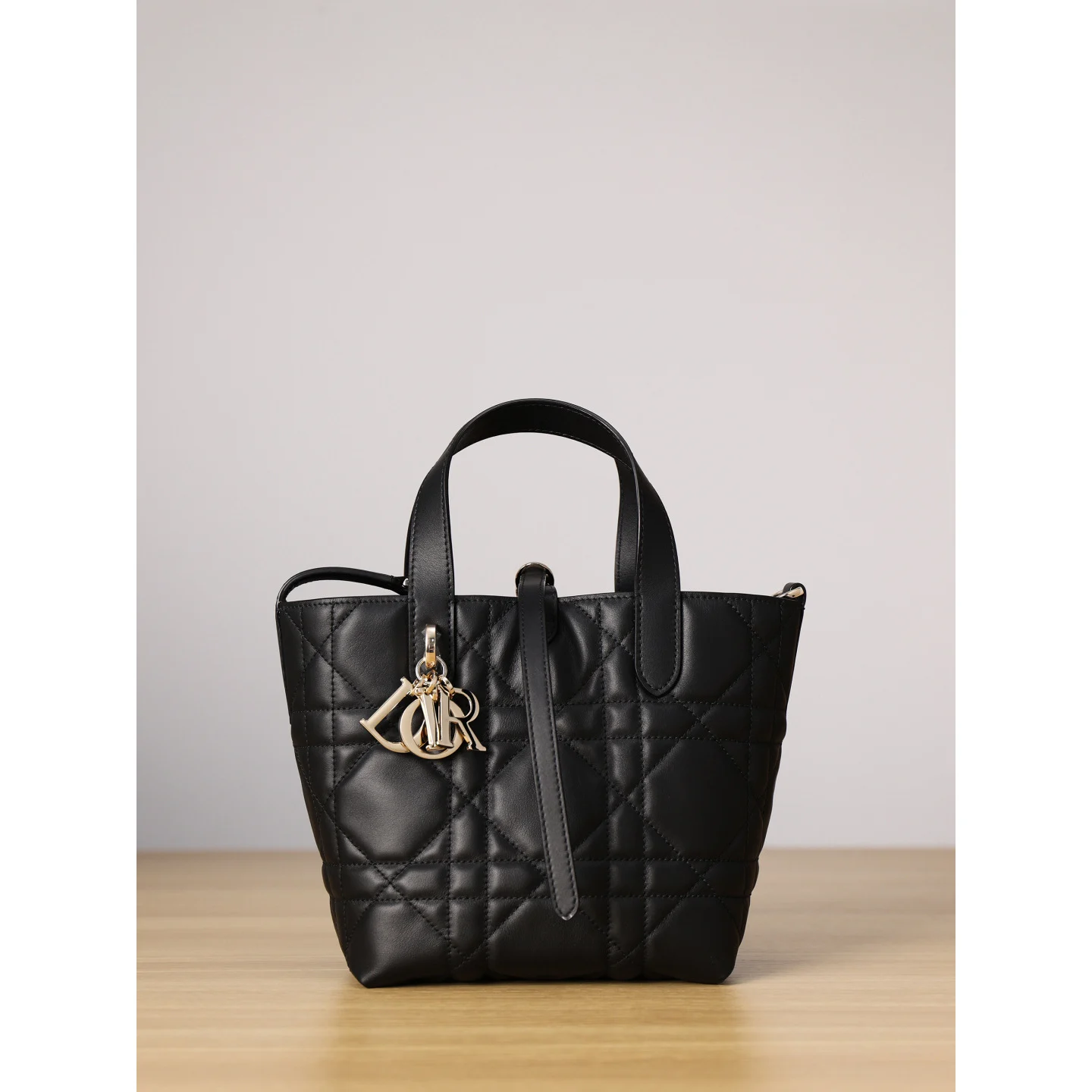 Small Dior Toujours Vertical Tote Bag black; full source photo centered on a white square canvas