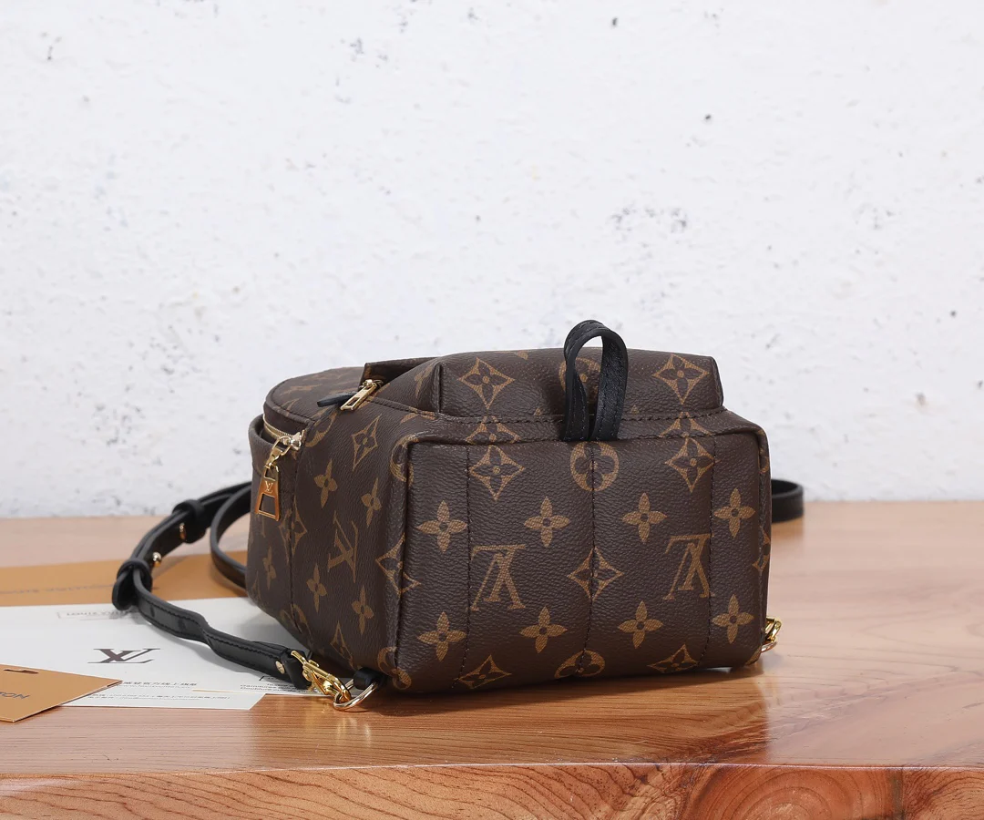 Louis Vuitton Palm Springs Mini Monogram Monogram · M44873